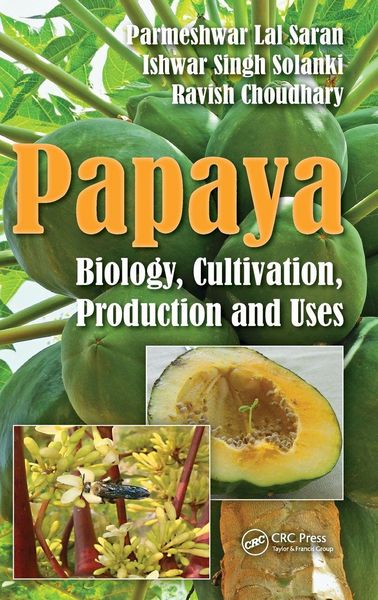 Produktbild: Papaya