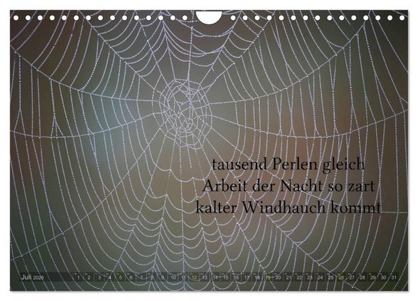 Produktbild: Haiku - Gedichte in 17 Silben (Wandkalender 2026 DIN A4 quer), CALVENDO Monatskalender