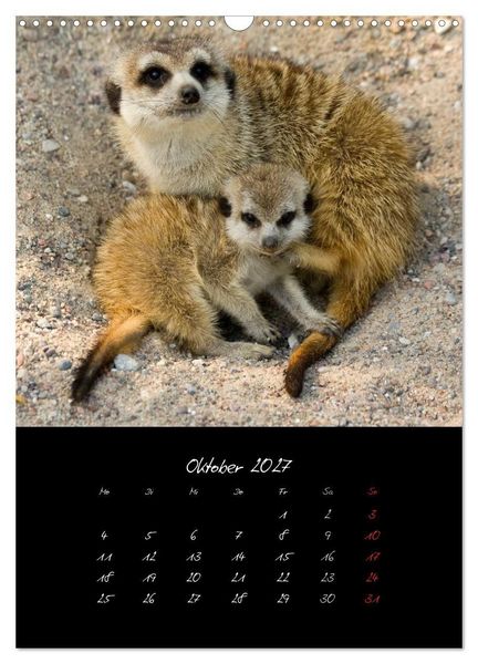 Produktbild: Tiere (Wandkalender 2027 DIN A3 hoch), CALVENDO Monatskalender