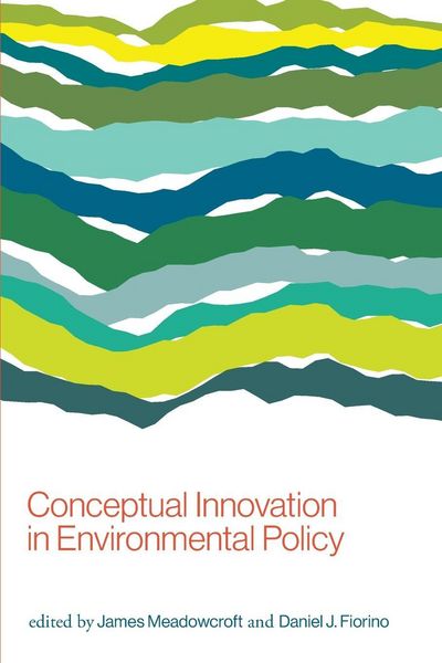 Produktbild: Conceptual Innovation in Environmental Policy