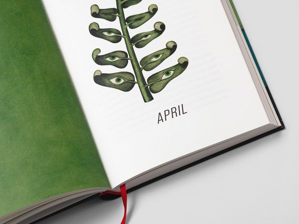 Produktbild: Ein Jahr in der Natur