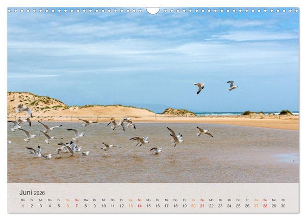 Produktbild: Andalusische Atlantikk&uuml;ste (Wandkalender 2026 DIN A3 quer), CALVENDO Monatskalender