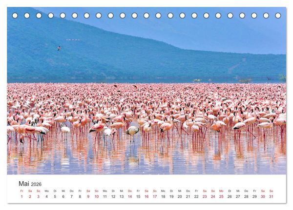 Produktbild: Kenia - Ein Land wie Afrika (Tischkalender 2026 DIN A5 quer), CALVENDO Monatskalender