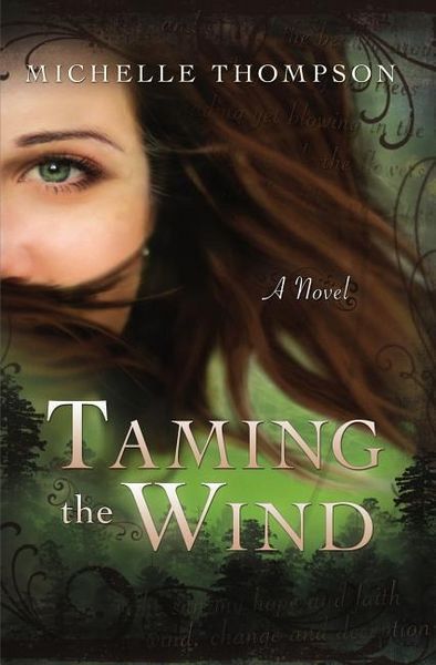 Produktbild: Taming the Wind