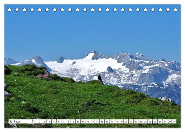 Produktbild: Die Alpen im Herzen von &Ouml;sterreich (Tischkalender 2026 DIN A5 quer), CALVENDO Monatskalender
