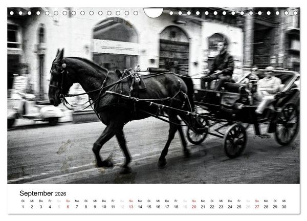 Produktbild: Silberstein portr&auml;tiert Palermo (Wandkalender 2026 DIN A4 quer), CALVENDO Monatskalender