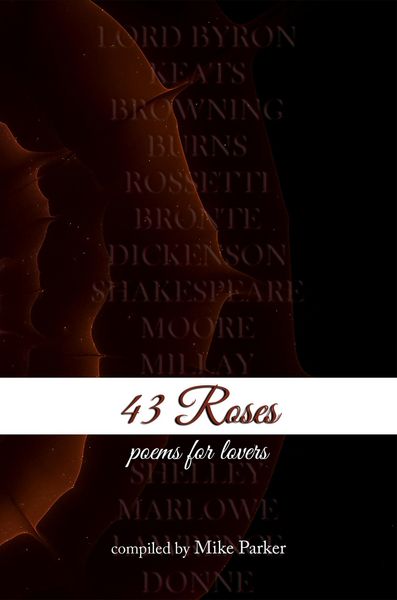 Produktbild: 43 Roses