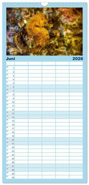 Produktbild: Familienplaner 2026 - Hippocampus oder einfach nur Seepferdchen mit 5 Spalten (Wandkalender, 21 x 45 cm) CALVENDO