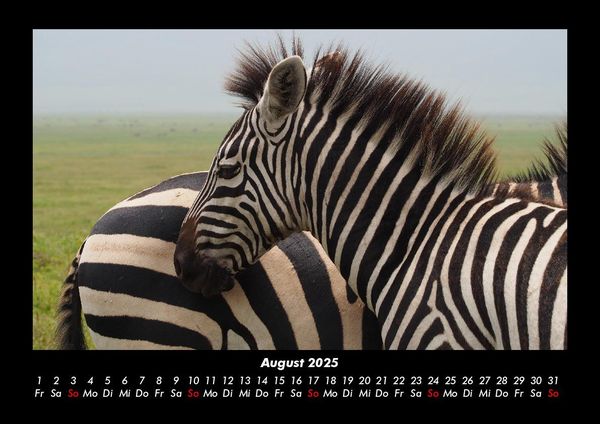 Produktbild: Zebrazauber 2025 Fotokalender DIN A3
