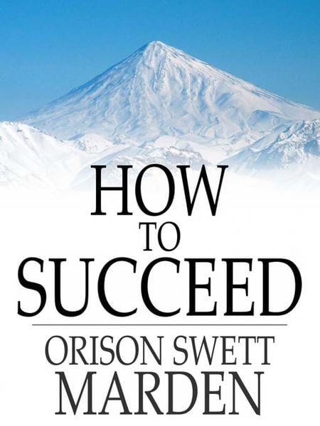 Produktbild: How to Succeed