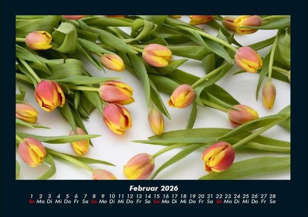 Produktbild: Blumenkalender 2026 Fotokalender DIN A4