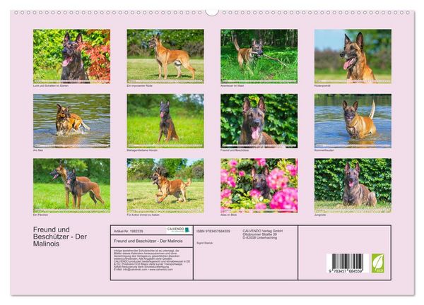 Produktbild: Freund und Besch&uuml;tzer - Der Malinois (hochwertiger Premium Wandkalender 2026 DIN A2 quer), Kunstdruck in Hochglanz