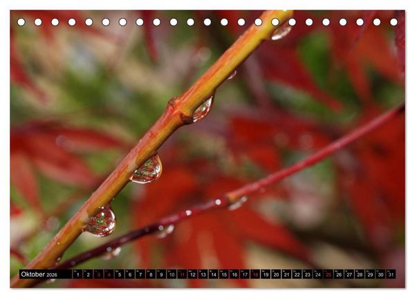 Produktbild: Wassertropfen - Diamanten des Lebens (Tischkalender 2026 DIN A5 quer), CALVENDO Monatskalender
