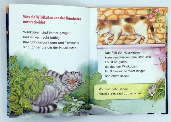 Produktbild: Die Wildkatze