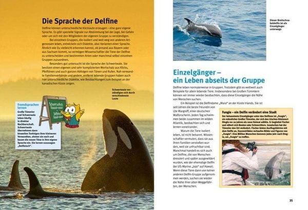 Produktbild: Entdecke die Delfine
