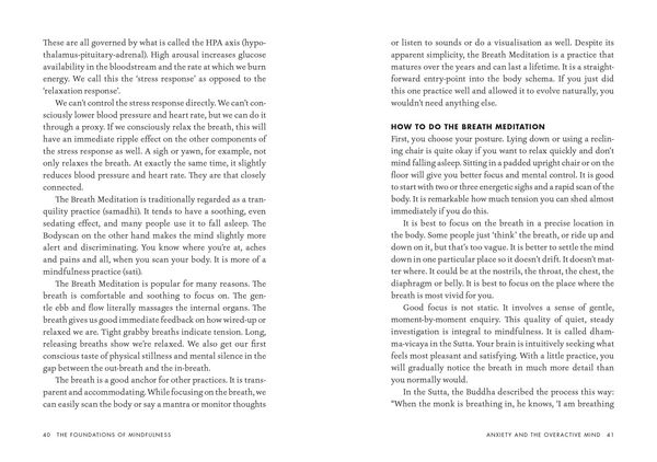 Produktbild: The Foundations of Mindfulness