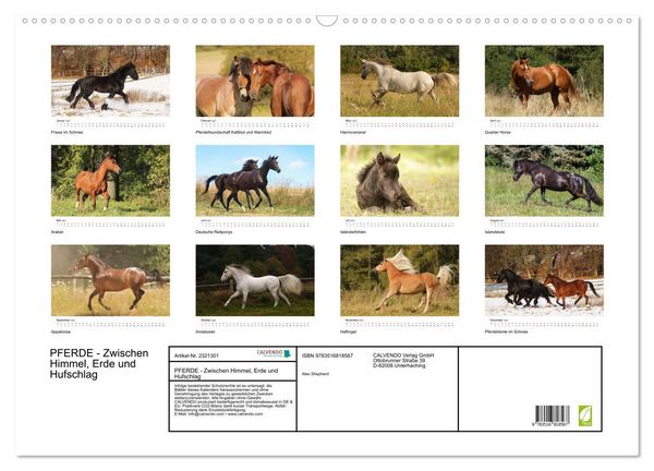 Produktbild: PFERDE - Zwischen Himmel, Erde und Hufschlag (Wandkalender 2027 DIN A2 quer), CALVENDO Monatskalender