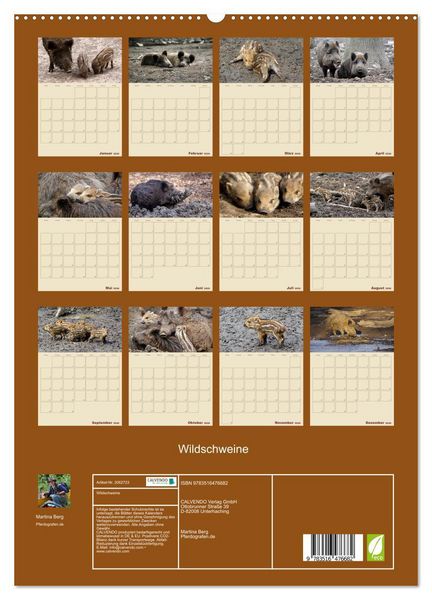 Produktbild: Wildschweine (hochwertiger Premium Wandkalender 2026 DIN A2 hoch), Kunstdruck in Hochglanz