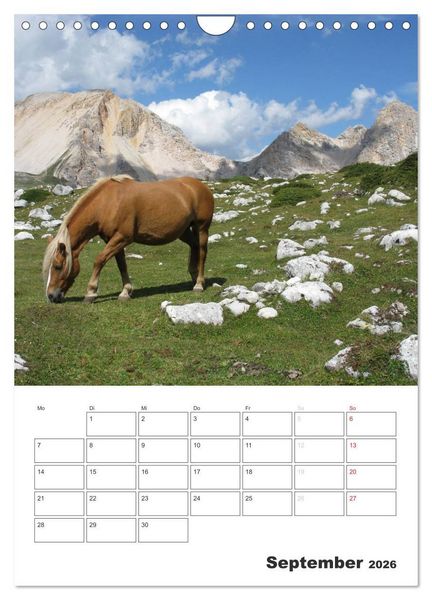 Produktbild: Alta Badia &ndash; Traumlandschaft f&uuml;r Bergsteiger und Wanderer (Wandkalender 2026 DIN A4 hoch), CALVENDO Monatskalender