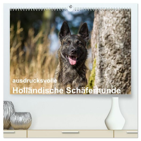 Produktbild: ausdrucksvolle Holl&auml;ndische Sch&auml;ferhunde (hochwertiger Premium Wandkalender 2027 DIN A2 quer), Kunstdruck in Hochglanz