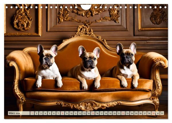 Produktbild: Kleine K&ouml;nige - Franz&ouml;sische Bulldoggen (Wandkalender 2026 DIN A4 quer), CALVENDO Monatskalender