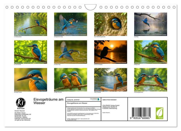 Produktbild: Eisvogeltr&auml;ume am Wasser (Wandkalender 2026 DIN A4 quer), CALVENDO Monatskalender