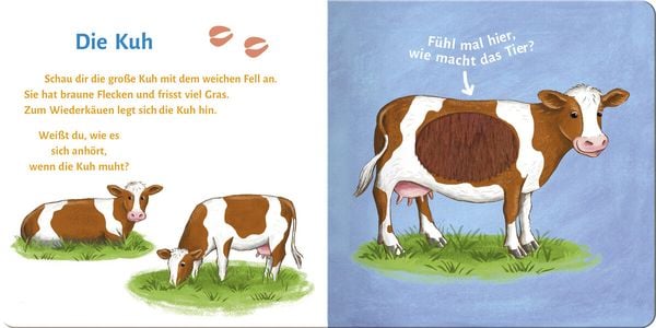 Produktbild: Sound- und Fühlbuch Bauernhof (mit 6 Sound- und Fühlelementen)