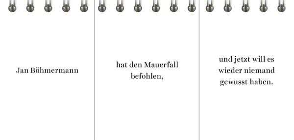 Produktbild: Der Desinformator