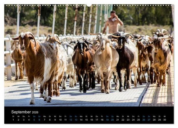 Produktbild: Peloponnes, Griechisches Urgestein von grandioser Sch&ouml;nheit. Die Regionen Argolis, Korinthia und Attika (hochwertiger Premium Wandkalender 2026 DIN A2 quer), Kunstdruck in Hochglanz