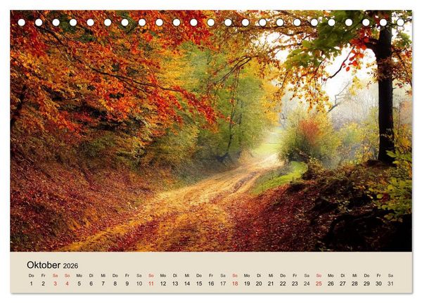 Produktbild: Der Wald. Durch zauberhafte Waldlandschaften (Tischkalender 2026 DIN A5 quer), CALVENDO Monatskalender