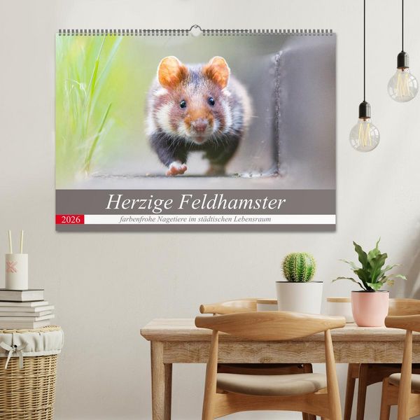 Produktbild: Herzige Feldhamster - farbenfrohe Nagetiere im st&auml;dtischen Lebensraum (Wandkalender 2026 DIN A2 quer), CALVENDO Monatskalender