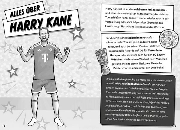 Produktbild: Mein Fu&szlig;ballheld Harry Kane &ndash; Seine Geschichte, seine Spiele, seine Rekorde
