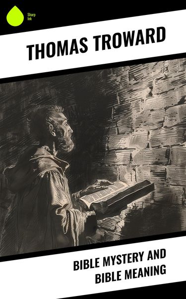 Produktbild: Bible Mystery and Bible Meaning