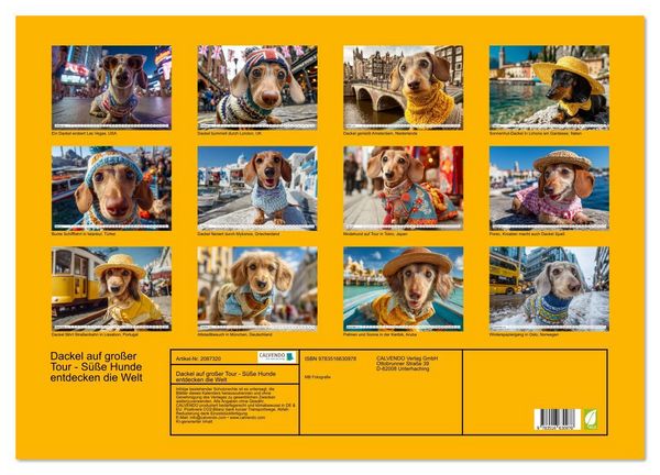 Produktbild: Dackel auf gro&szlig;er Tour - S&uuml;&szlig;e Hunde entdecken die Welt (Wandkalender 2026 DIN A2 quer), CALVENDO Monatskalender