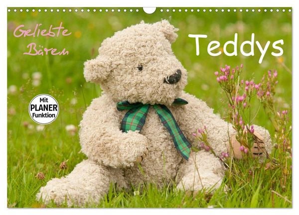 Geliebte Bären - Teddys (Wandkalender 2026 DIN A3 quer), CALVENDO Monatskalender