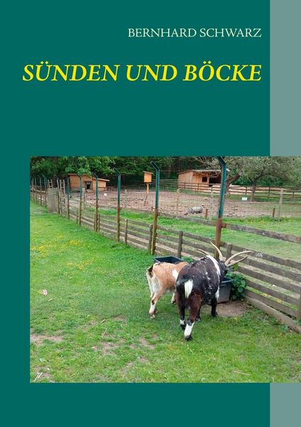 Produktbild: S&uuml;nden und B&ouml;cke