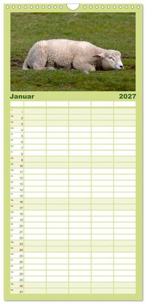 Produktbild: Familienplaner 2027 - Deichschafe - H&uuml;ter der Deiche in Nordfriesland mit 5 Spalten (Wandkalender, 21 x 45 cm) CALVENDO