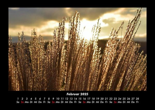 Produktbild: Bilder der Natur 2025 Fotokalender DIN A3