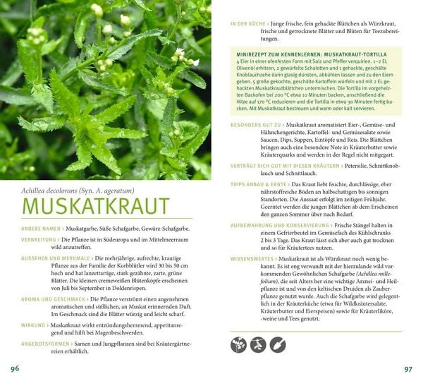 Produktbild: Kr&auml;uter