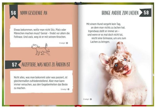 Produktbild: 100 Dinge, die man von einem Hund lernen kann