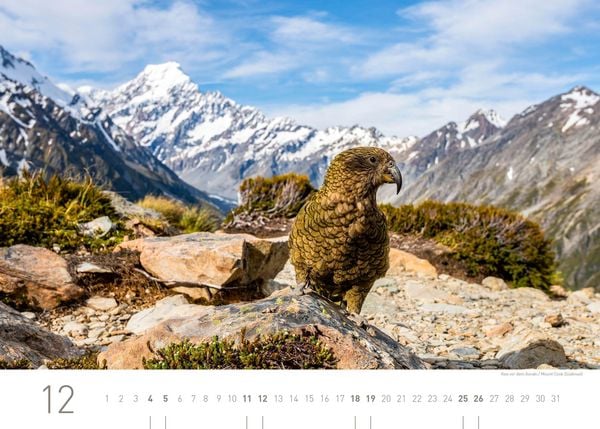 Produktbild: Neuseeland Exklusivkalender 2027