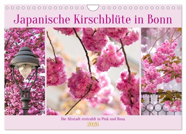 Produktbild: Japanische Kirschbl&uuml;te in Bonn (Wandkalender 2026 DIN A4 quer), CALVENDO Monatskalender