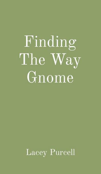 Produktbild: Finding The Way Gnome
