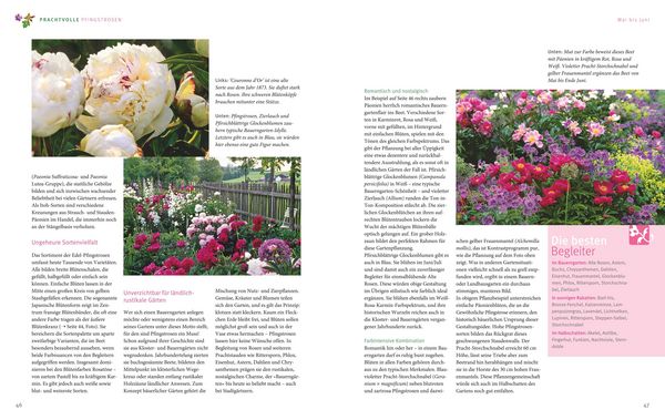 Produktbild: Ganzj&auml;hrig attraktive Beete mit Blatt und Bl&uuml;te