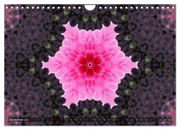 Produktbild: Natur im Kaleidoskop (Wandkalender 2026 DIN A4 quer), CALVENDO Monatskalender
