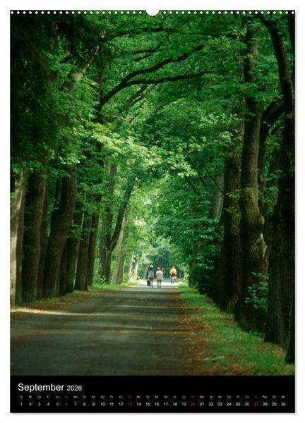 Produktbild: Wege 2026 (hochwertiger Premium Wandkalender 2026 DIN A2 hoch), Kunstdruck in Hochglanz