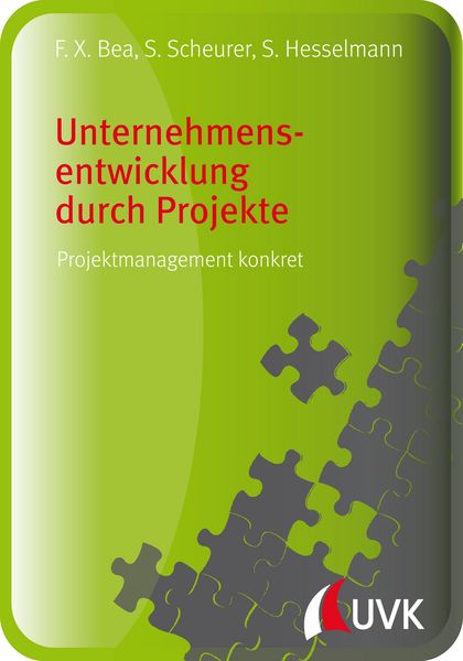 Produktbild: Unternehmensentwicklung durch Projekte