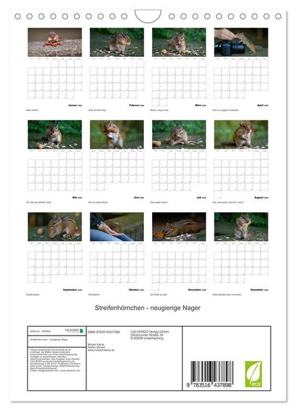 Produktbild: Streifenh&ouml;rnchen - neugierige Nager (Wandkalender 2026 DIN A4 hoch), CALVENDO Monatskalender