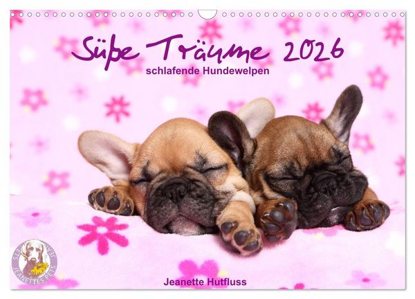 Süße Träume 2026 - schlafende Hundewelpen (Wandkalender 2026 DIN A3 quer), CALVENDO Monatskalender