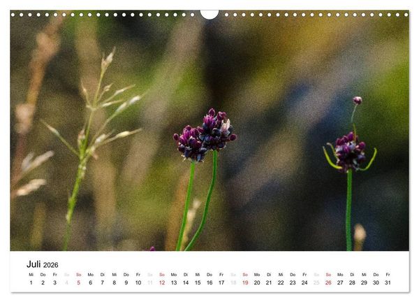 Produktbild: Bornholm (Wandkalender 2026 DIN A3 quer), CALVENDO Monatskalender
